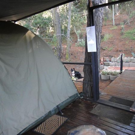 Eagles' Call Cottages&Tent Wildernis Esterno foto