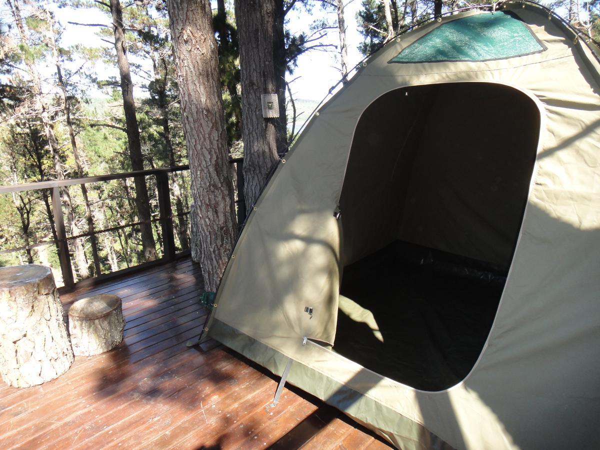 Eagles' Call Cottages&Tent Wildernis Esterno foto