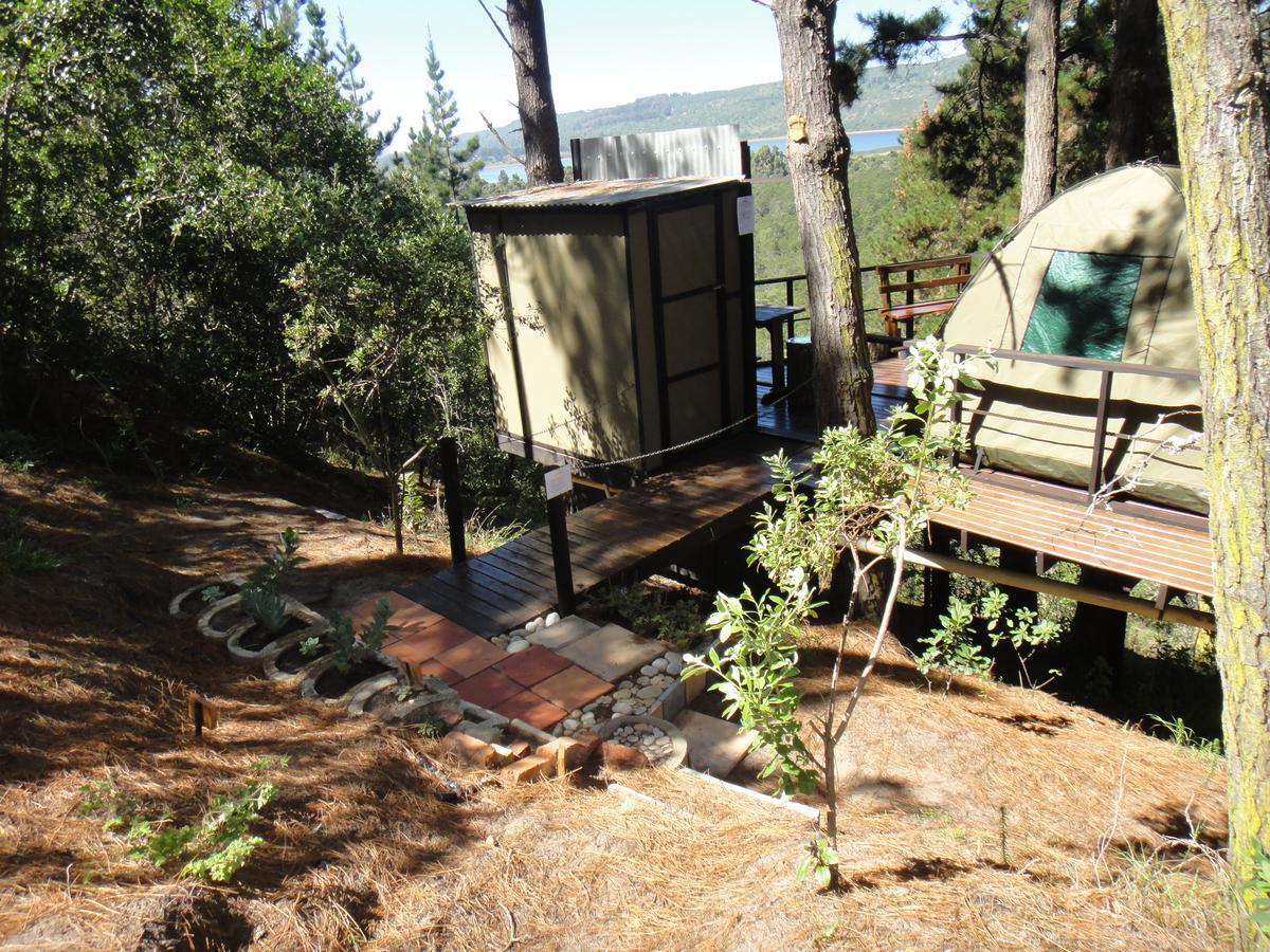Eagles' Call Cottages&Tent Wildernis Esterno foto