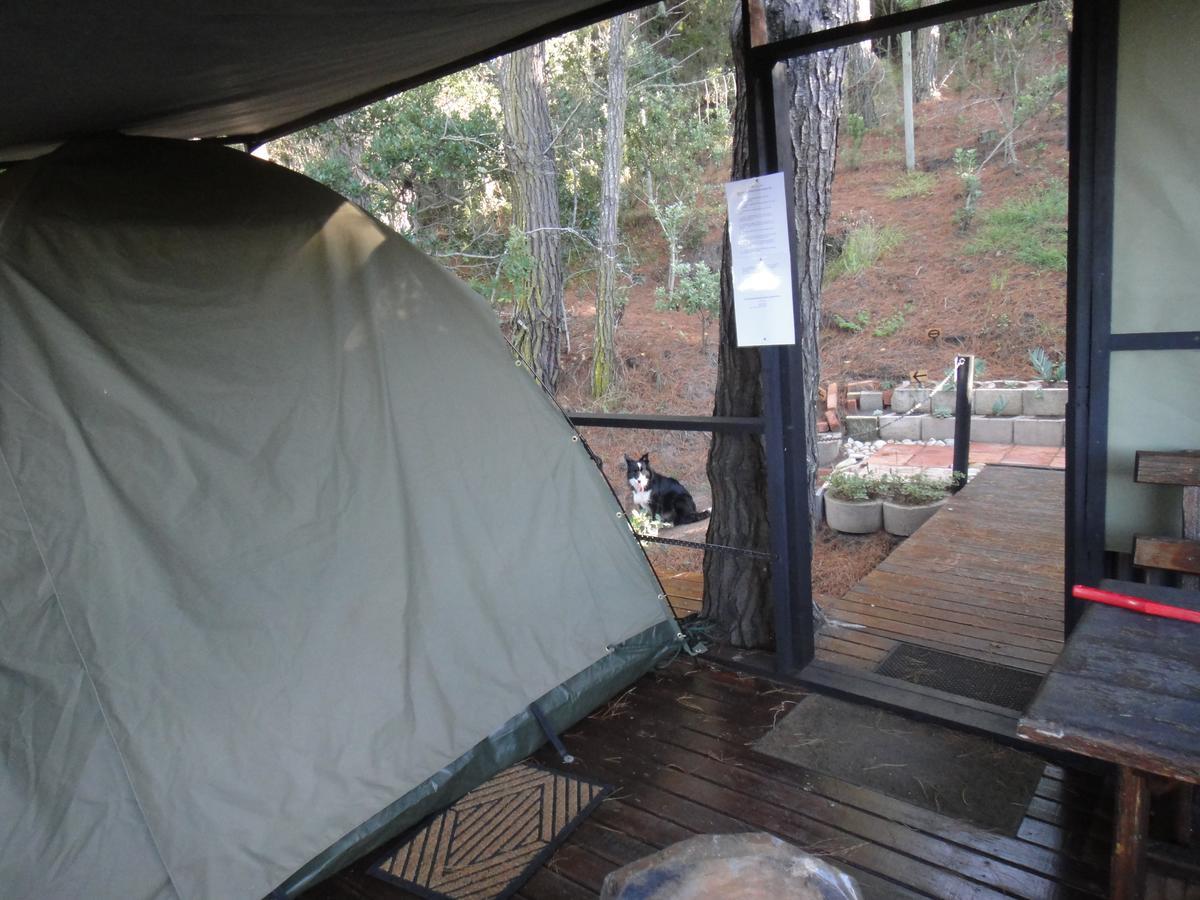 Eagles' Call Cottages&Tent Wildernis Esterno foto