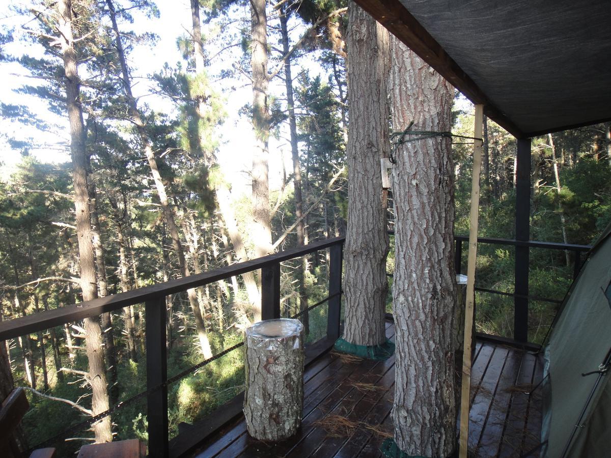 Eagles' Call Cottages&Tent Wildernis Esterno foto