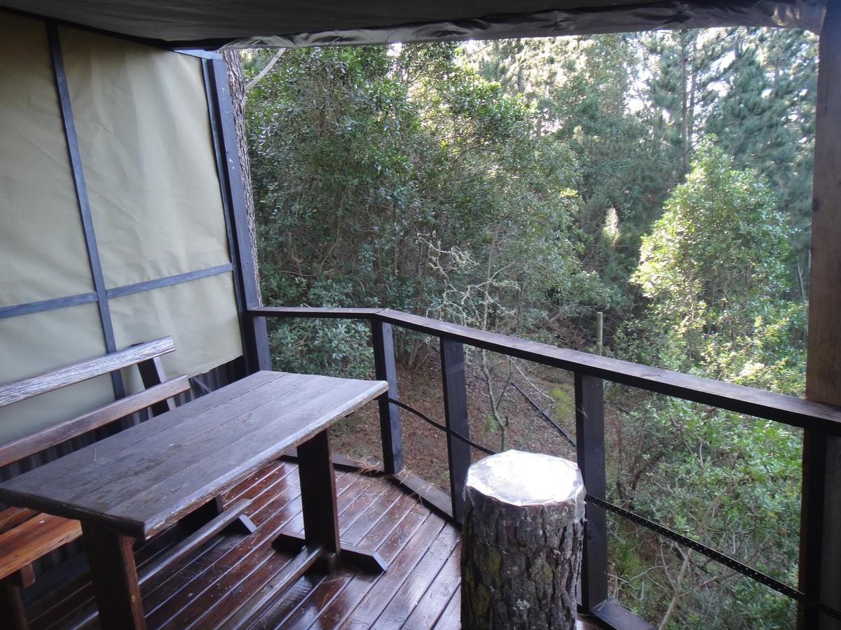 Eagles' Call Cottages&Tent Wildernis Esterno foto
